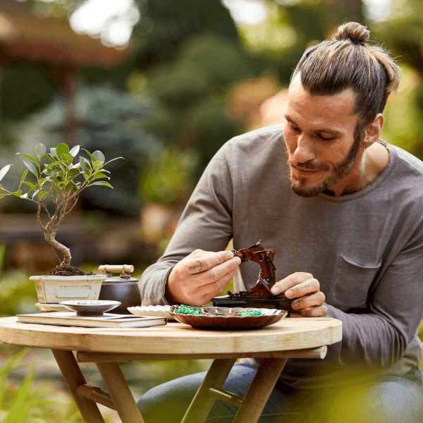 LEGO Bonsai kociņš 10281