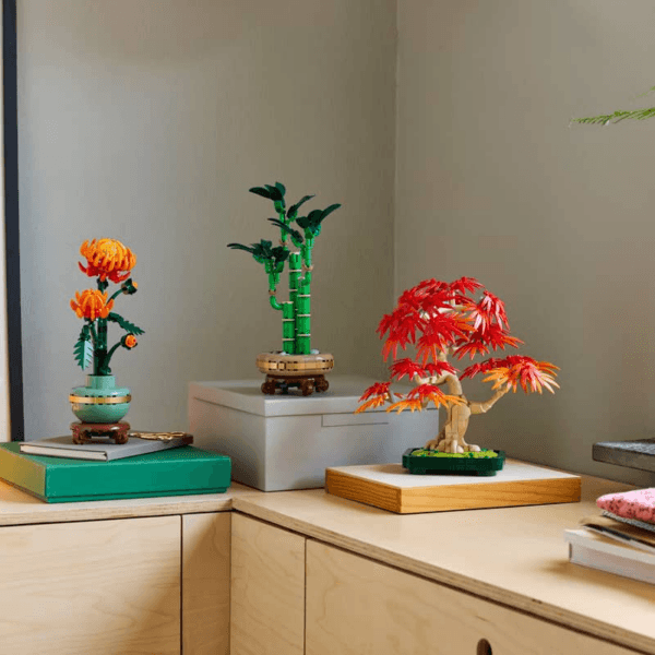 10348_10344_10368_Lifestyle_Envr_01 LEGO Japāņu sarkanā kļava – Bonsai kociņš 10348